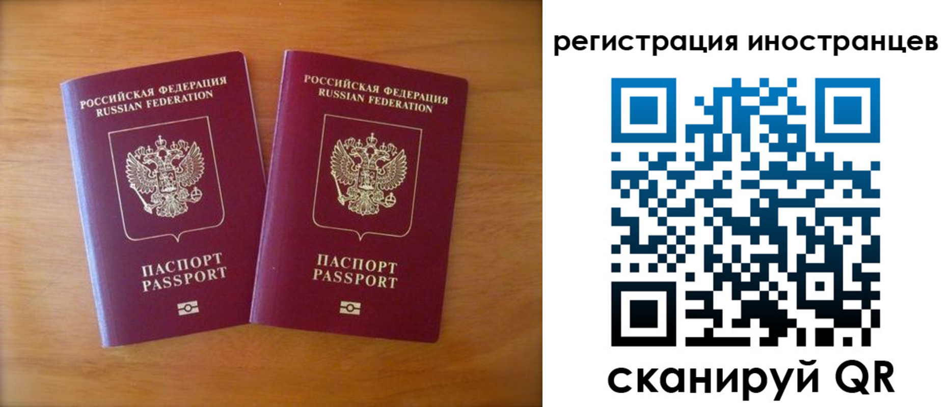 прописка поиск в Стародубе
